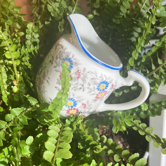 Tiny Pitcher - Picture 6 of 8